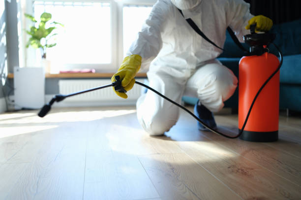 Reliable Blood Cleanup contractor in Joshua Tree, CA by Trauma Clean Pros